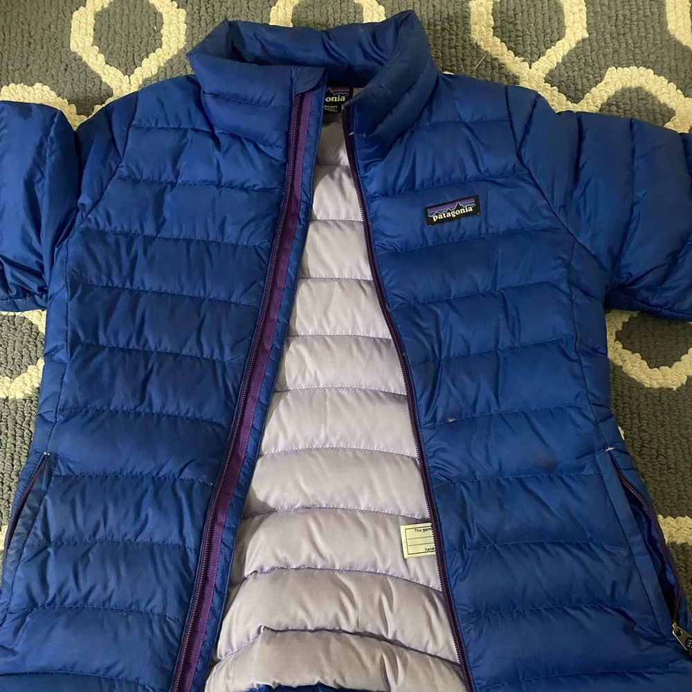 Royal blue Patagonia puffer jacket